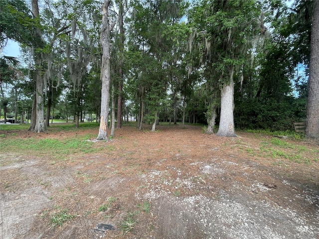 SE 17th St, Ocala, FL 34471 - photo 5
