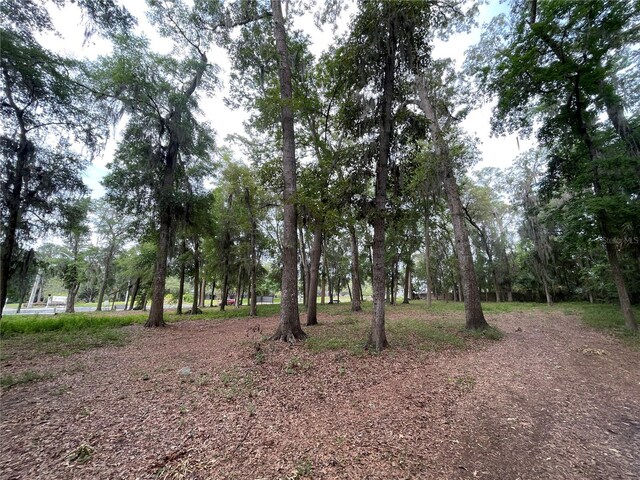 SE 17th St, Ocala, FL 34471 - photo 11