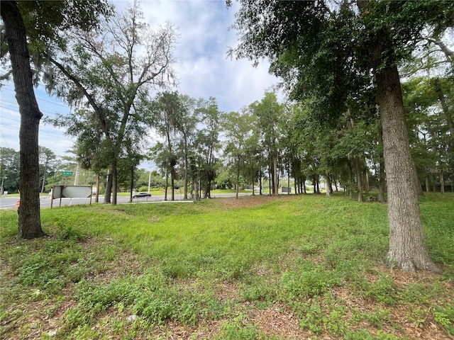 SE 17th St, Ocala, FL 34471 - photo 18