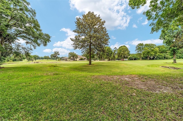 7915 SE 12th Cir, Ocala, FL 34480 - view of green lawn featuring golf course view