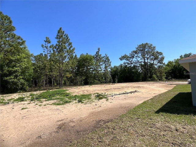 TBD SW 151st Ave, Ocala, FL 34481