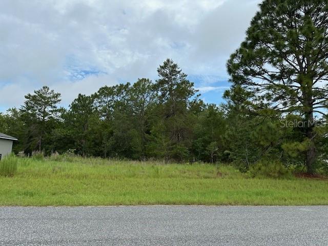 LOT7 SW 48 Court Rd, Ocala, FL 34473 - photo 1
