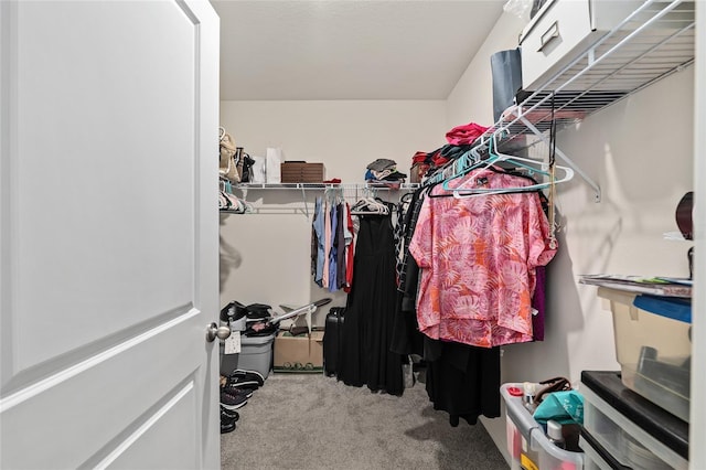32 Hickory Course Loop, Ocala, FL 34472 - spacious closet featuring carpet floors