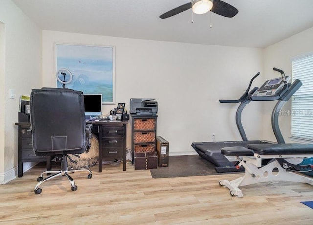186 NW 44th St, Ocala, FL 34475 - office with wood finished floors and ceiling fan