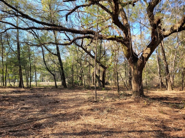 3.57AC NE 315th Hwy Unit 32, Fort Mc Coy, FL 32134 - photo 1