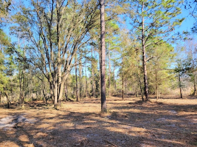 3.57AC NE 315th Hwy Unit 32, Fort Mc Coy, FL 32134 - photo 2