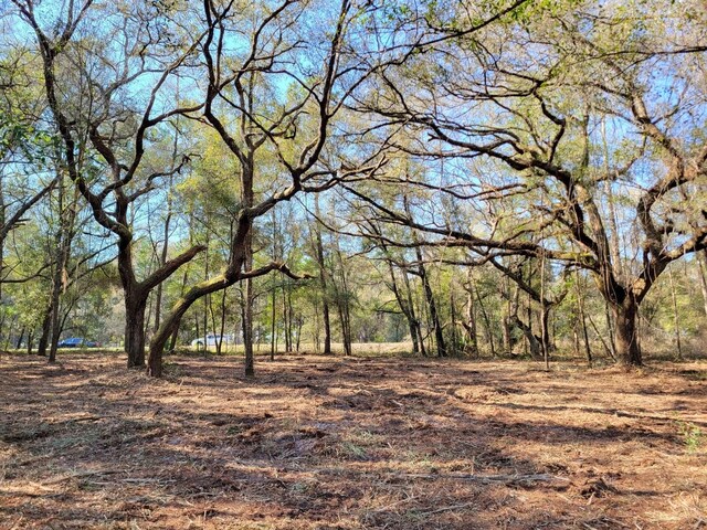 3.57AC NE 315th Hwy Unit 32, Fort Mc Coy, FL 32134 - photo 3