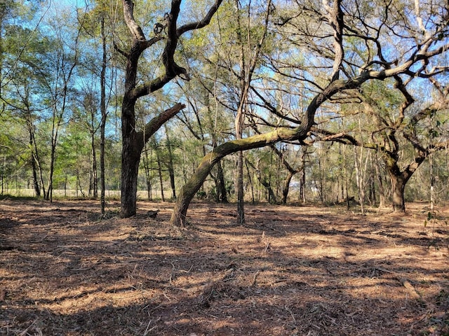3.57AC NE 315th Hwy Unit 32, Fort Mc Coy, FL 32134 - photo 4