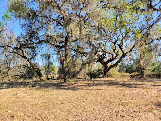 3.57AC NE 315th Hwy Unit 32, Fort Mc Coy, FL 32134 - photo 5