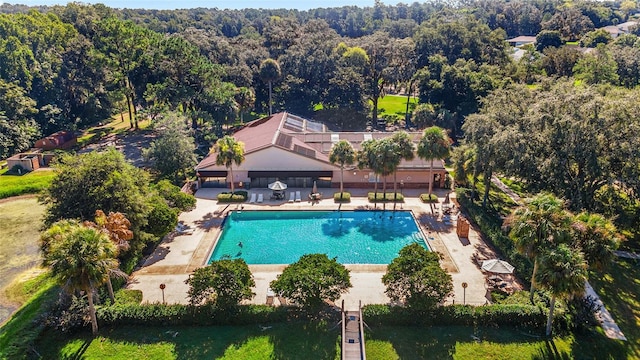 2644 SW 20th Cir, Ocala, FL 34471 - swimming pool featuring a gazebo, a wooded view, and a patio