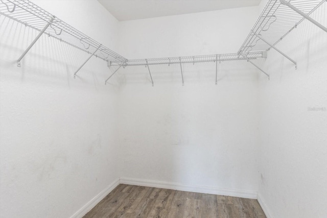 17277 SW 44th Cir, Ocala, FL 34473 - spacious closet with wood finished floors