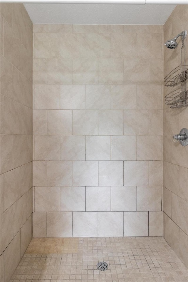 17277 SW 44th Cir, Ocala, FL 34473 - full bath featuring a tile shower