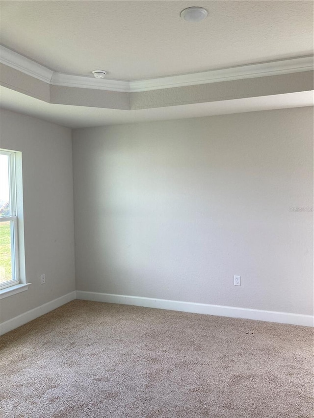 2 Pine Course Trl, Ocala, FL 34472 - carpeted empty room featuring crown molding and baseboards