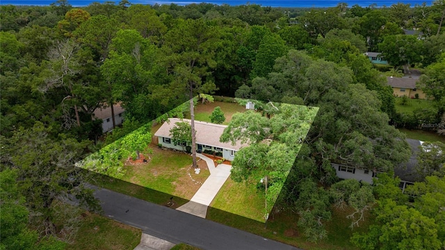 3331 SE 4th St, Ocala, FL 34471 - aerial view of a heavily wooded area
