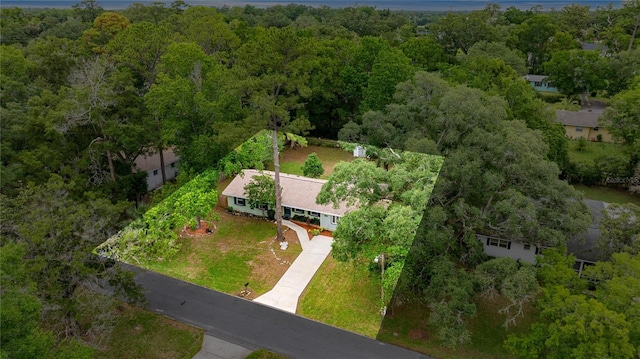 3331 SE 4th St, Ocala, FL 34471 - view of subject property featuring a forest