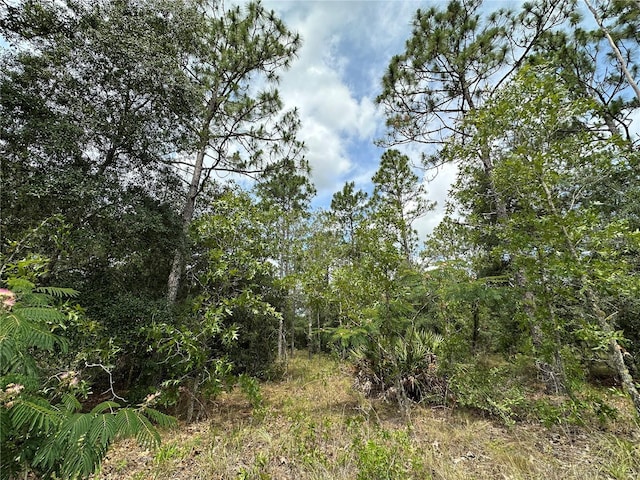 2671 SE 133rd Ter, Morriston, FL 32668