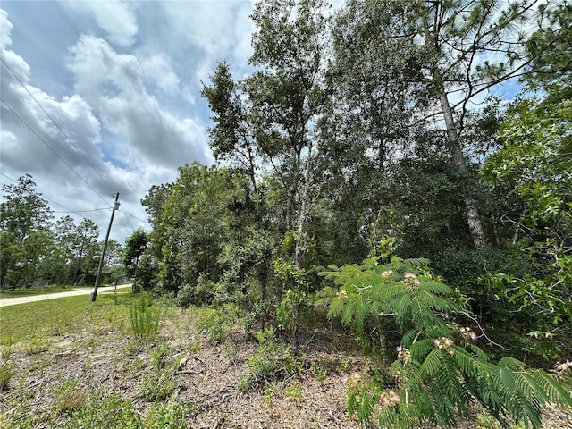 2671 SE 133rd Ter, Morriston, FL 32668