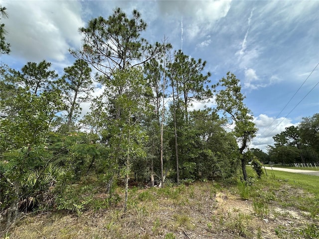 2671 SE 133rd Ter, Morriston, FL 32668