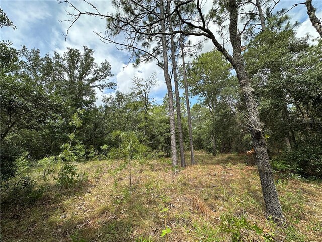 2671 SE 133rd Ter, Morriston, FL 32668