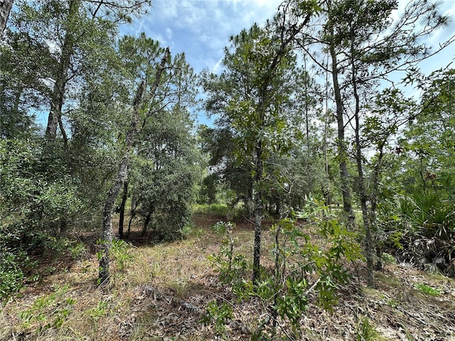 2671 SE 133rd Ter, Morriston, FL 32668