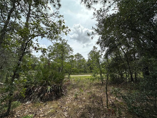 2671 SE 133rd Ter, Morriston, FL 32668