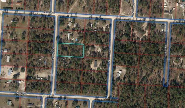 2671 SE 133rd Ter, Morriston, FL 32668