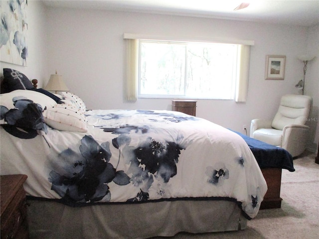 14192 SW 112th Cir, Dunnellon, FL 34432 - view of carpeted bedroom