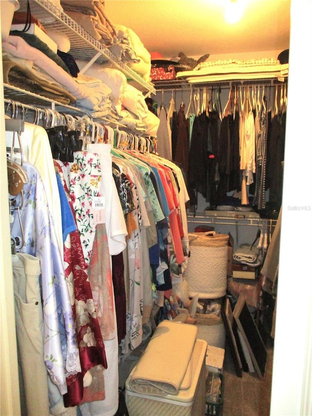 14192 SW 112th Cir, Dunnellon, FL 34432 - view of spacious closet