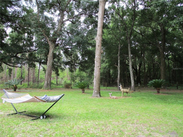 14192 SW 112th Cir, Dunnellon, FL 34432 - view of grassy yard