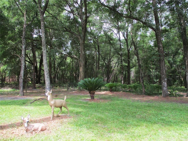 14192 SW 112th Cir, Dunnellon, FL 34432 - view of green lawn