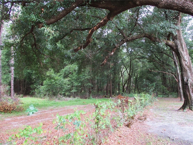 14192 SW 112th Cir, Dunnellon, FL 34432 - view of tree filled area