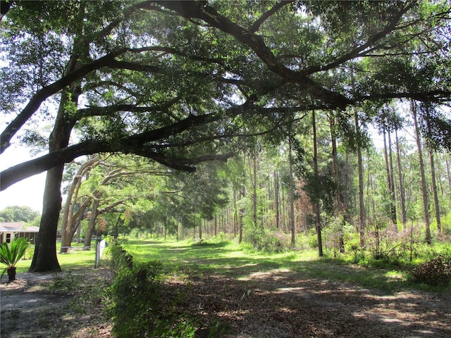 14192 SW 112th Cir, Dunnellon, FL 34432 - view of tree filled area