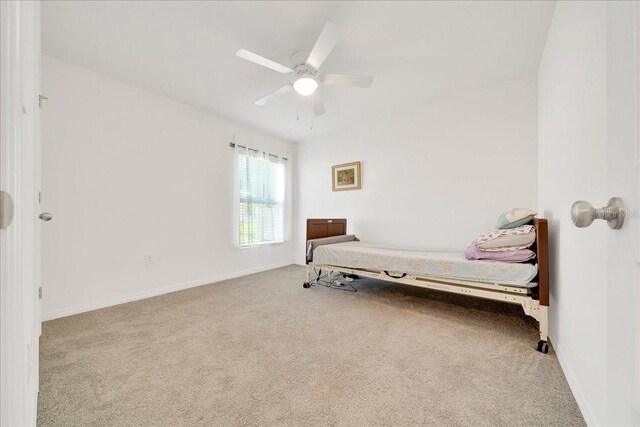 7133 SW 135th Pl, Ocala, FL 34473 - photo 13