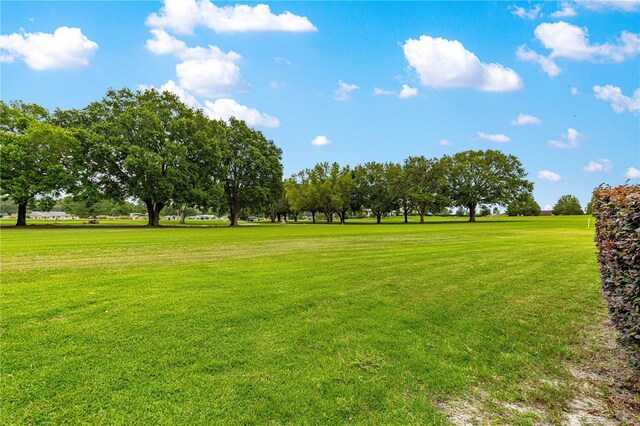 9551 SW 92nd Ter, Ocala, FL 34481 - view of green lawn
