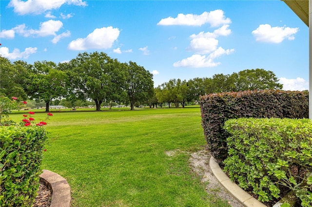 9551 SW 92nd Ter, Ocala, FL 34481 - view of grassy yard