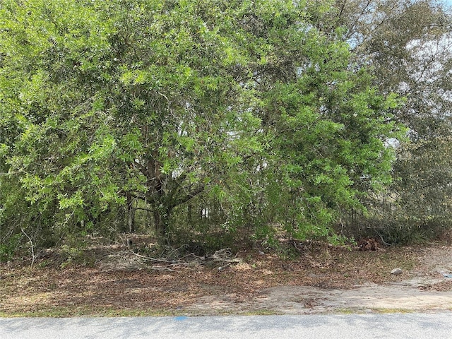 SW 40th Ter, Ocala, FL 34473
