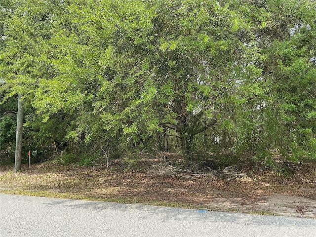 SW 40th Ter, Ocala, FL 34473