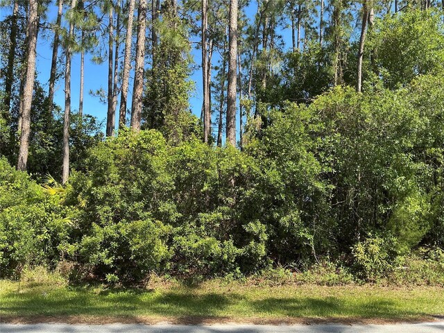 87 Eric Dr, Palm Coast, FL 32164
