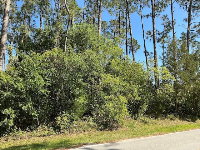 87 Eric Dr, Palm Coast, FL 32164