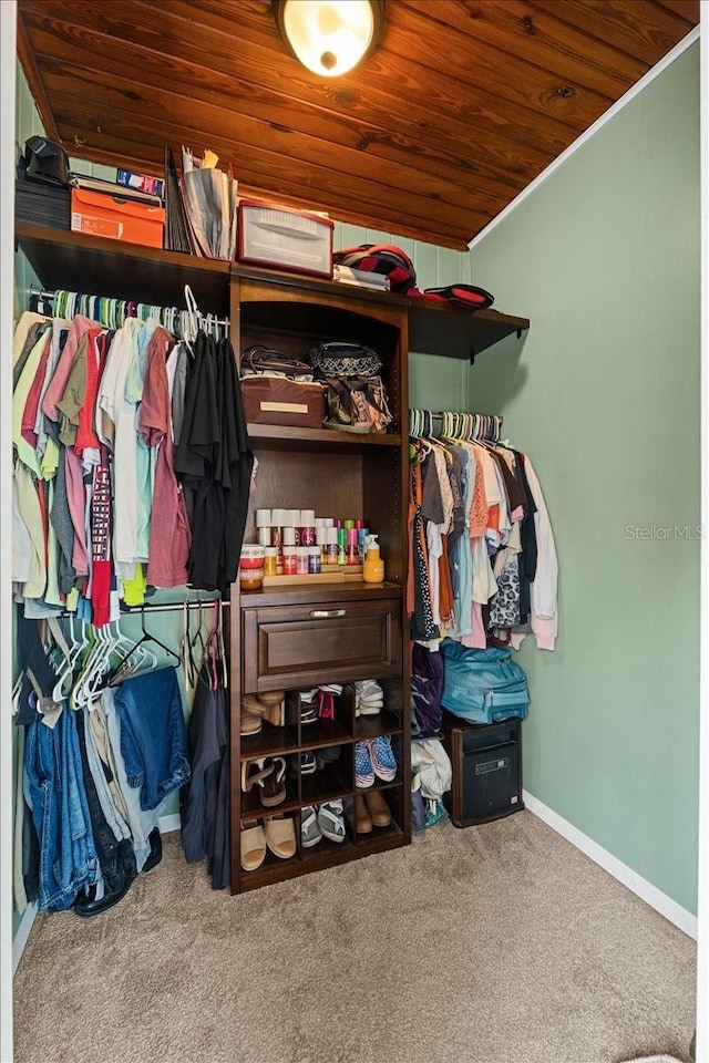 460 E Haines Blvd, Lake Alfred, FL 33850 - spacious closet featuring carpet flooring
