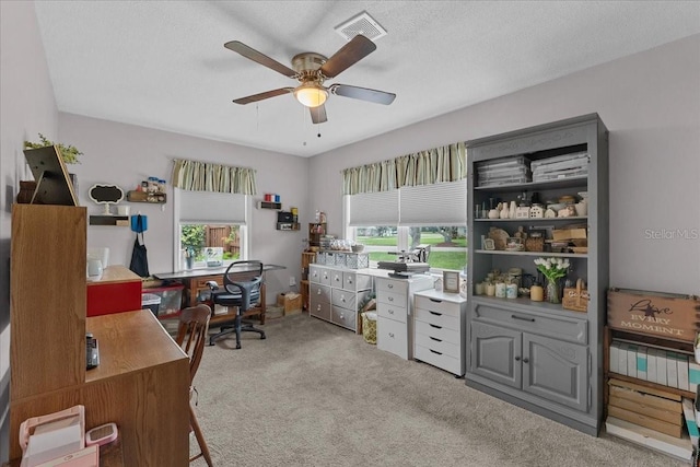 460 E Haines Blvd, Lake Alfred, FL 33850 - office with a ceiling fan, plenty of natural light, carpet, and a textured ceiling