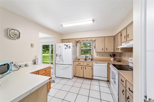 15061 SW 28th Terrace Rd, Ocala, FL 34473 - photo 18