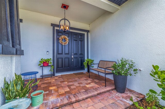 205 Bengal Cir, Oldsmar, FL 34677 - photo 4