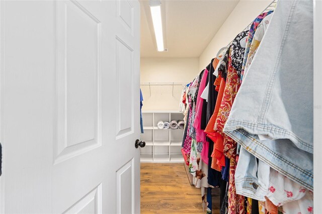 63 Walnut Crse, Ocala, FL 34480 - walk in closet with wood finished floors