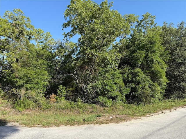 TBD SE 154th St, Summerfield, FL 34491