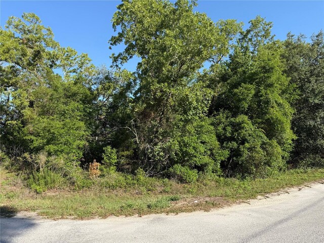 TBD SE 154th St, Summerfield, FL 34491