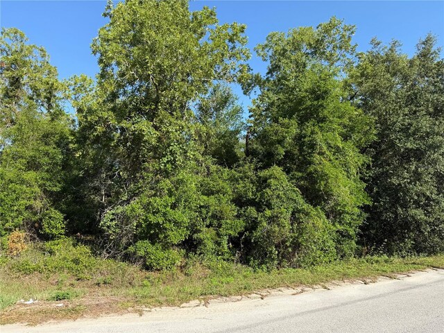 TBD SE 154th St, Summerfield, FL 34491