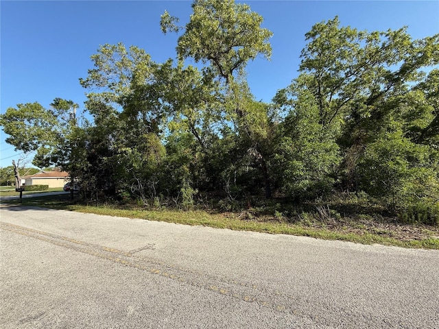 TBD SE 154th St, Summerfield, FL 34491