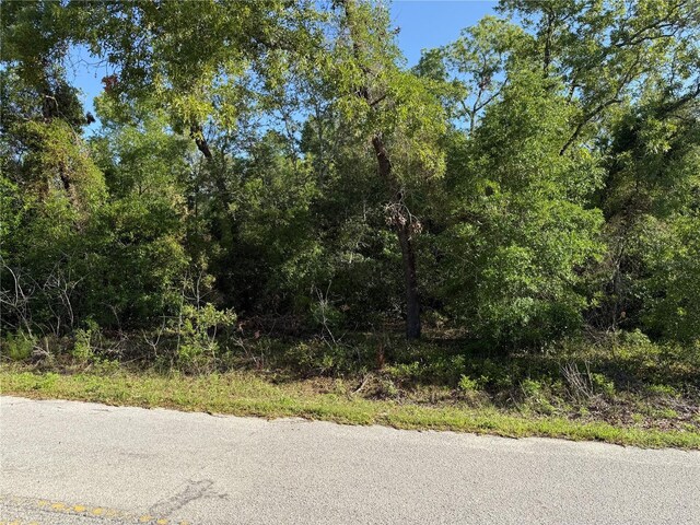 TBD SE 154th St, Summerfield, FL 34491