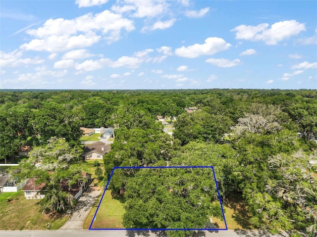 986 SE 57th Ave, Ocala, FL 34480 - aerial view of property and surrounding area featuring a heavily wooded area and property parcel outlined